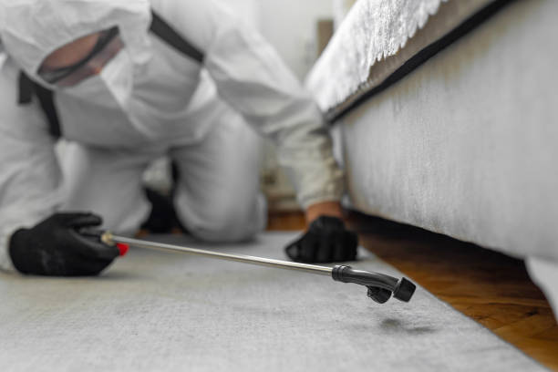Professional Termite Control technician working in Coventry Lake, CT
