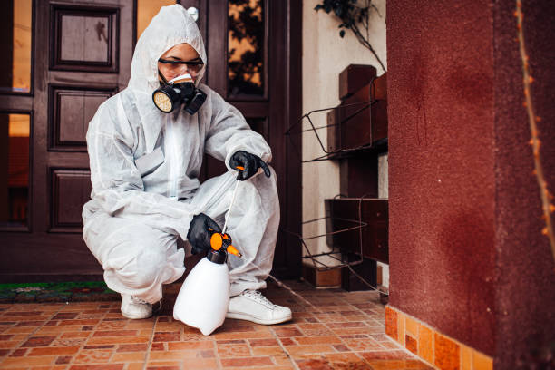 Reliable Termite Control contractor in Coventry Lake, CT by Nex Pest Control