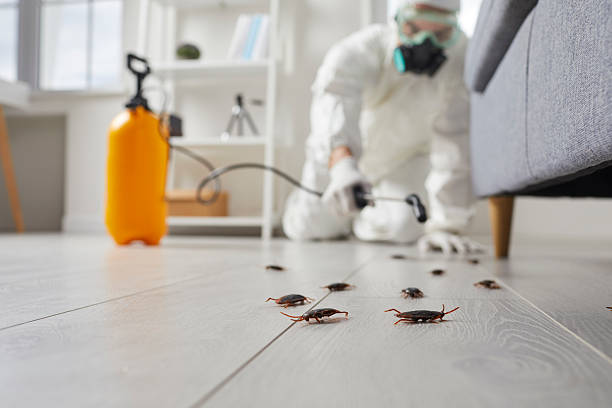 Trusted Emergency Pest Control service in Coventry Lake, CT - Nex Pest Control